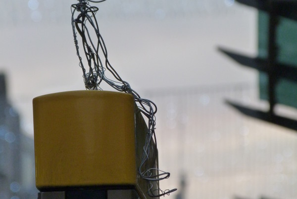 Looking down on life.