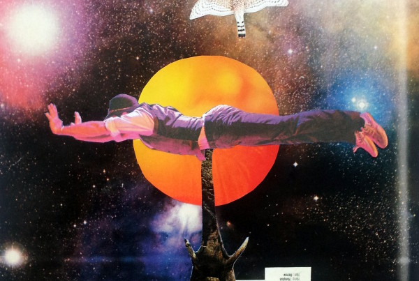 collage, space, birds, aukse